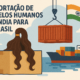 Importação de Cabelo Humano da Índia para o Brasil